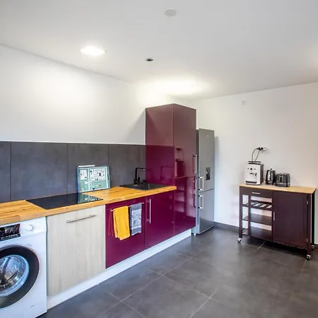 Apartament L'eclipse Spa Jacuzzi Cinema Jeux Colmar *